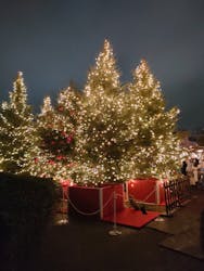 Christmas Market in 横浜赤レンガ倉庫 2025に投稿された画像（2025/12/24）