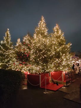 Christmas Market in 横浜赤レンガ倉庫 2025に投稿された画像（2025/12/24）