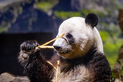 恩賜上野動物園に投稿された画像（2025/12/24）