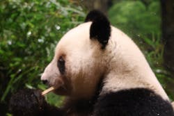 恩賜上野動物園に投稿された画像（2025/12/24）