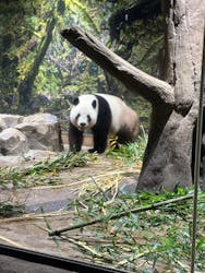 恩賜上野動物園に投稿された画像（2025/12/24）