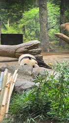 恩賜上野動物園に投稿された画像（2025/12/24）