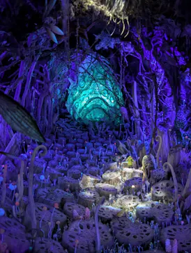 金曜ロードショーとジブリ展（静岡展）に投稿された画像（2025/12/24）