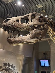 国立科学博物館に投稿された画像（2025/12/24）