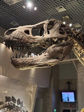 国立科学博物館に投稿された画像（2025/12/24）