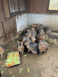 伊豆シャボテン動物公園に投稿された画像（2025/12/24）