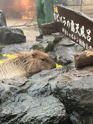 伊豆シャボテン動物公園に投稿された画像（2025/12/24）