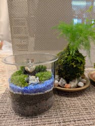 カルチャースクールいろはに投稿された画像（2025/12/24）