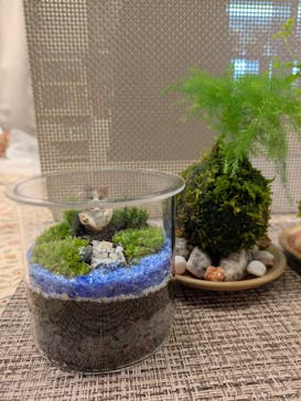 カルチャースクールいろはに投稿された画像（2025/12/24）