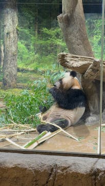 恩賜上野動物園に投稿された画像（2025/12/24）