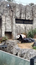 恩賜上野動物園に投稿された画像（2025/12/24）