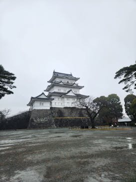 小田原城に投稿された画像（2025/12/24）