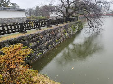 小田原城に投稿された画像（2025/12/24）