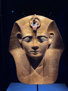 ACN ラムセス大王展 ファラオたちの黄金に投稿された画像（2025/12/24）