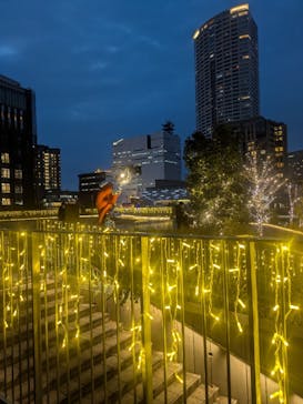 新時代のヴィーナス！　アール・デコ100年展に投稿された画像（2025/12/24）