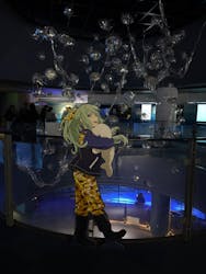 横浜・八景島シーパラダイス　プレジャーランドに投稿された画像（2025/12/24）