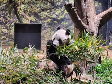 恩賜上野動物園に投稿された画像（2025/12/24）
