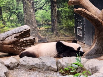 恩賜上野動物園に投稿された画像（2025/12/24）