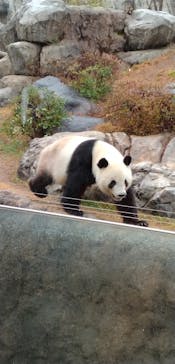 恩賜上野動物園に投稿された画像（2025/12/24）