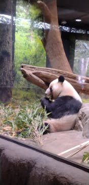 恩賜上野動物園に投稿された画像（2025/12/24）