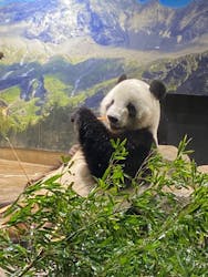 恩賜上野動物園に投稿された画像（2025/12/24）