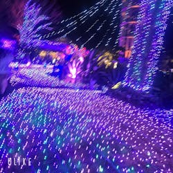 江の島シーキャンドルに投稿された画像（2025/12/24）