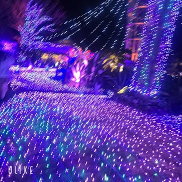 江の島シーキャンドルに投稿された画像（2025/12/24）