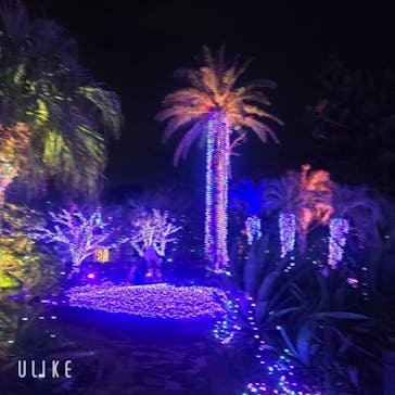 江の島シーキャンドルに投稿された画像（2025/12/24）