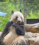 恩賜上野動物園に投稿された画像（2025/12/24）