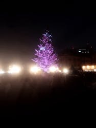 Christmas Market in 横浜赤レンガ倉庫 2025に投稿された画像（2025/12/24）