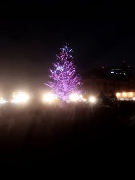 Christmas Market in 横浜赤レンガ倉庫 2025に投稿された画像（2025/12/24）