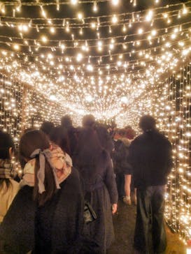 Christmas Market in 横浜赤レンガ倉庫 2025に投稿された画像（2025/12/24）