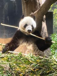 恩賜上野動物園に投稿された画像（2025/12/24）