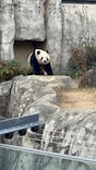 恩賜上野動物園に投稿された画像（2025/12/24）