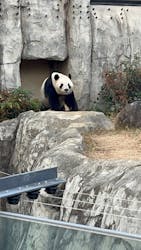 恩賜上野動物園に投稿された画像（2025/12/24）