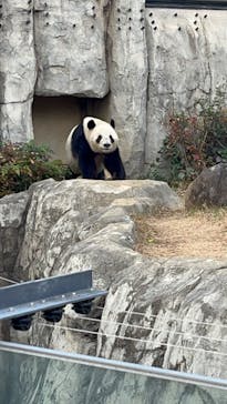 恩賜上野動物園に投稿された画像（2025/12/24）
