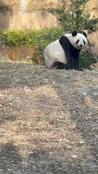 恩賜上野動物園に投稿された画像（2025/12/24）