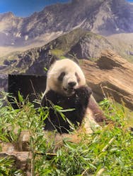 恩賜上野動物園に投稿された画像（2025/12/24）