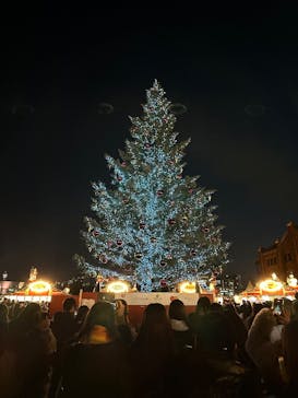 Christmas Market in 横浜赤レンガ倉庫 2025に投稿された画像（2025/12/24）