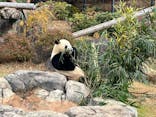 恩賜上野動物園に投稿された画像（2025/12/24）