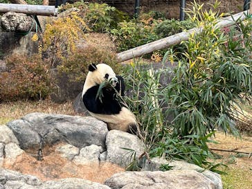 恩賜上野動物園に投稿された画像（2025/12/24）