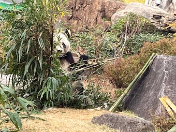 恩賜上野動物園に投稿された画像（2025/12/24）