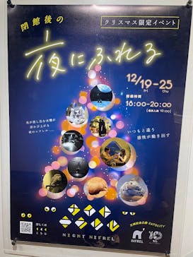 NIFREL（ニフレル）に投稿された画像（2025/12/24）