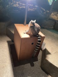 NIFREL（ニフレル）に投稿された画像（2025/12/24）