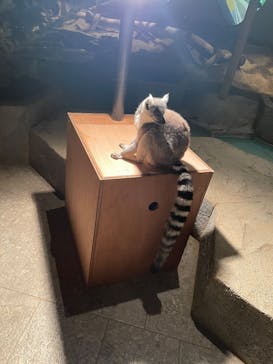 NIFREL（ニフレル）に投稿された画像（2025/12/24）