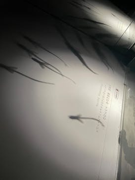 NIFREL（ニフレル）に投稿された画像（2025/12/24）