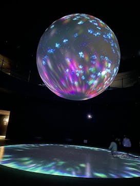 NIFREL（ニフレル）に投稿された画像（2025/12/24）