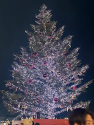 Christmas Market in 横浜赤レンガ倉庫 2025に投稿された画像（2025/12/24）