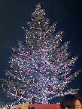 Christmas Market in 横浜赤レンガ倉庫 2025に投稿された画像（2025/12/24）