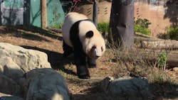 恩賜上野動物園に投稿された画像（2025/12/24）